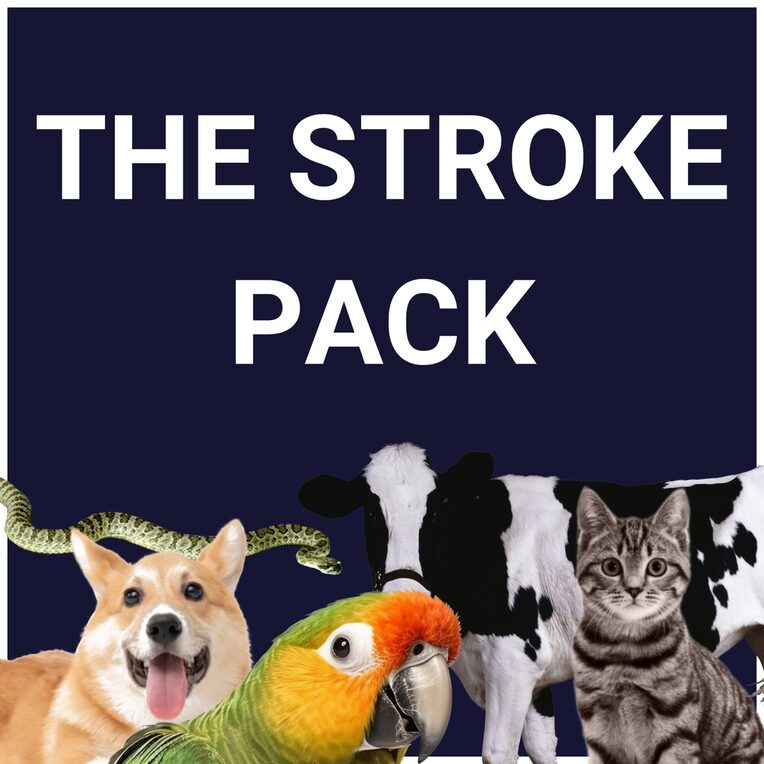The Stroke Pack